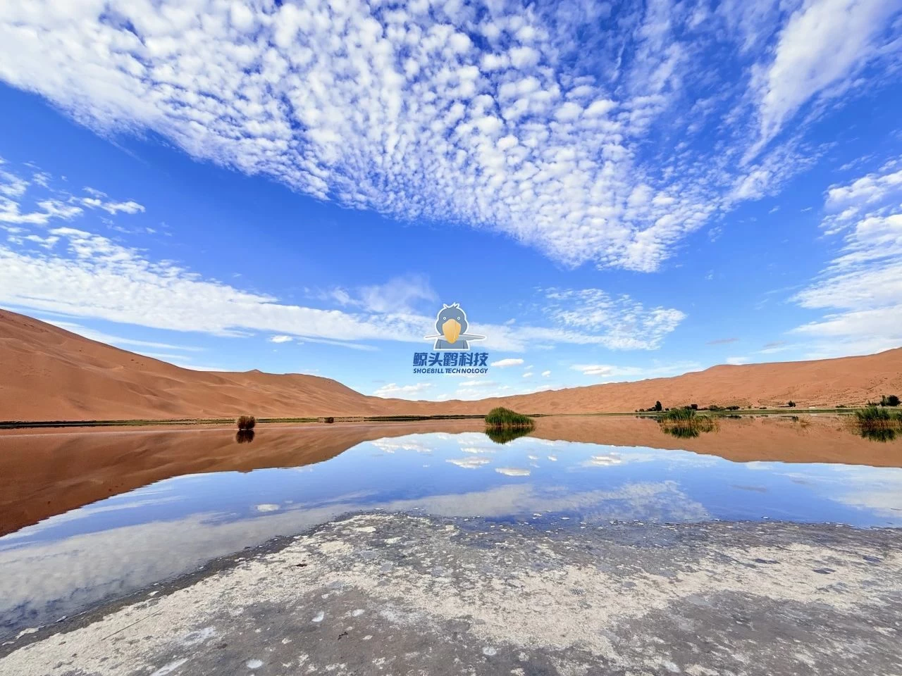 मरुभूमिको मुटुमा प्रवेश गर्दै मरुभूमिको मुटुमा प्रवेश गर्दै