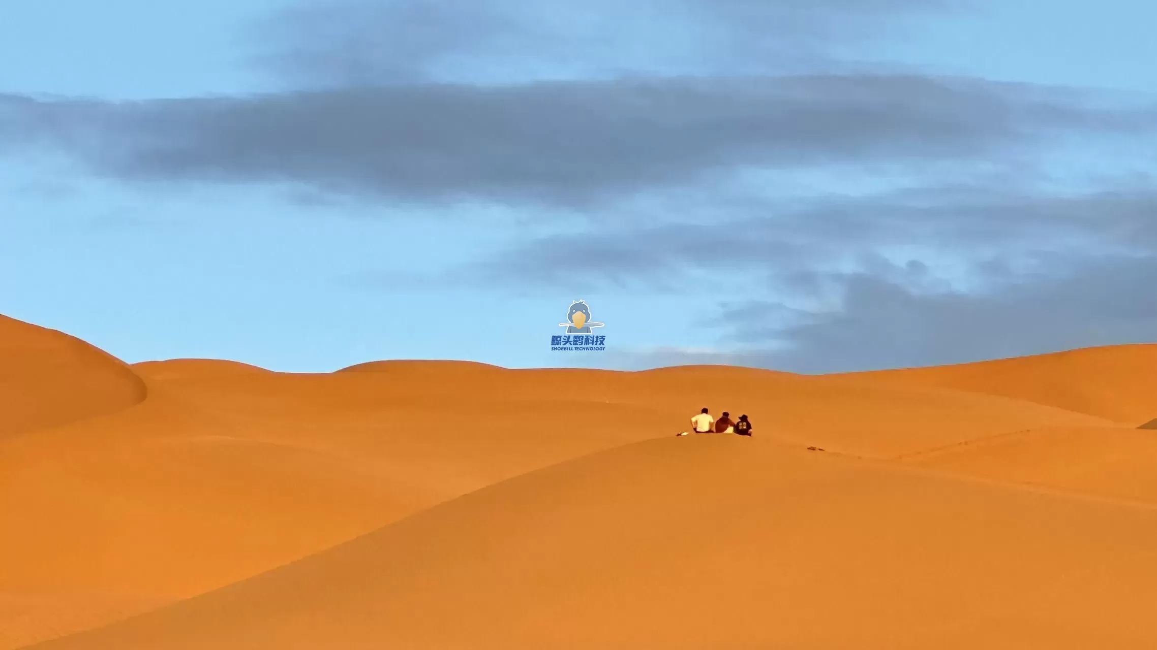 मरुभूमिको मुटुमा प्रवेश गर्दै मरुभूमिको मुटुमा प्रवेश गर्दै